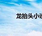 龍?zhí)ь^小說筆趣閣（龍?zhí)ь^小說）