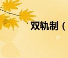 雙軌制（說一說雙軌制的簡介）