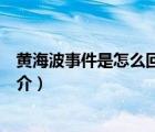 黃海波事件是怎么回事（說一說黃海波事件是怎么回事的簡介）
