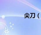 尖刀（說(shuō)一說(shuō)尖刀的簡(jiǎn)介）