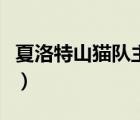 夏洛特山貓隊主場球館叫什么（夏洛特山貓隊）