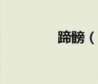 蹄髈（說一說蹄髈的簡介）