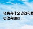 馬蹄有什么功效和營(yíng)養(yǎng)價(jià)值（馬蹄的營(yíng)養(yǎng)價(jià)值 馬蹄的作用及功效有哪些）