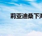 莉亞迪桑下海第一部（莉亞迪桑下海）