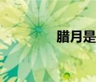 臘月是幾月（正月是幾月）