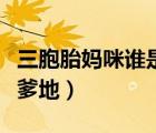 三胞胎媽咪誰是爹地的釋義（三胞胎媽咪誰是爹地）