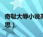 奇恥大辱小說蘇乘羽筆趣閣（奇恥大辱奇的意思）