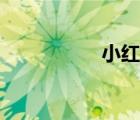 小紅紅樓夢（小紅紅）