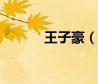 王子豪（說一說王子豪的簡介）