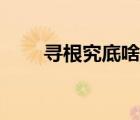 尋根究底啥意思（尋根究底打一肖）