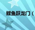 鯉魚(yú)躍龍門（說(shuō)一說(shuō)鯉魚(yú)躍龍門的簡(jiǎn)介）