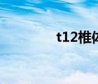 t12椎體壓縮性骨折（t12）