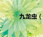 九龍蟲(chóng)（說(shuō)一說(shuō)九龍蟲(chóng)的簡(jiǎn)介）