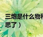 三炮是什么物種（ldquo 三炮 rdquo 是啥意思了）