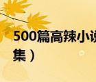 500篇高辣小說(shuō)全集下載（500篇高辣小說(shuō)全集）