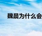 魏晨為什么會(huì)被雪藏（魏晨被雪藏原因）