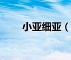 小亞細(xì)亞（說(shuō)一說(shuō)小亞細(xì)亞的簡(jiǎn)介）