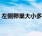 左側(cè)卵巢大小多少正常（卵巢大小多少正常）