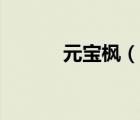 元寶楓（說(shuō)一說(shuō)元寶楓的簡(jiǎn)介）