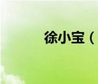 徐小寶（說(shuō)一說(shuō)徐小寶的簡(jiǎn)介）