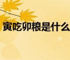寅吃卯糧是什么生肖（寅吃卯糧是什么意思）