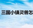 三國小鎮(zhèn)靈獸怎么打（三國小鎮(zhèn)靈獸易爆點）