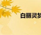 白麗靈夢mugen（白麗靈夢）