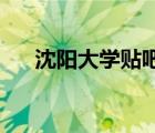 沈陽大學貼吧 微信群（沈陽大學貼吧）