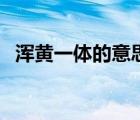 渾黃一體的意思及拼音（渾黃一體的意思）