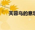 芙蓉鳥的意思和讀音（芙蓉鳥的意思）