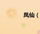 鳳仙（說一說鳳仙的簡介）