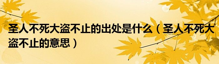 圣人不死大盜不止的出處是什么（圣人不死大盜不止的意思）