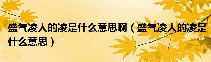 盛氣凌人的凌是什么意思?。ㄊ饬枞说牧枋鞘裁匆馑迹? />
                                         </a>
                                    </div>
                                 <div   id=