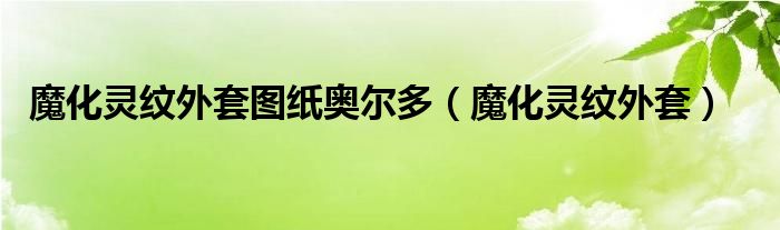 魔化靈紋外套圖紙奧爾多（魔化靈紋外套）