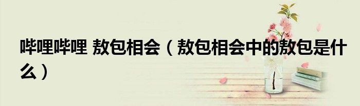 嗶哩嗶哩 敖包相會(huì)（敖包相會(huì)中的敖包是什么）