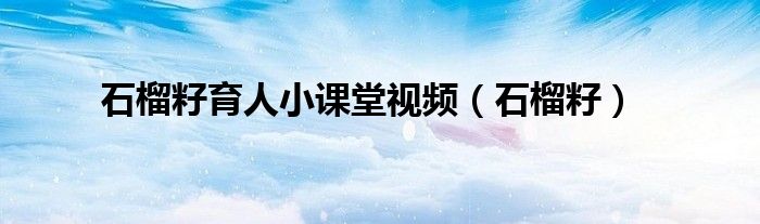 石榴籽育人小課堂視頻（石榴籽）