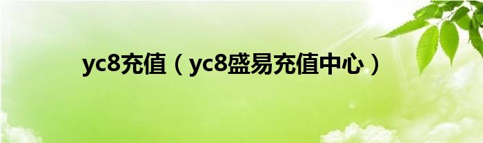 yc8充值（yc8盛易充值中心）