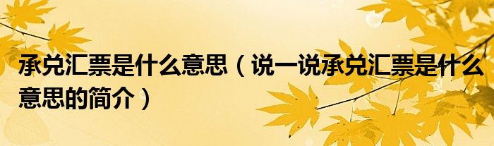 承兌匯票是什么意思（說(shuō)一說(shuō)承兌匯票是什么意思的簡(jiǎn)介）