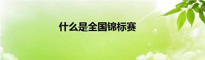什么是全國(guó)錦標(biāo)賽