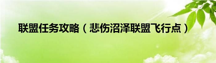 聯(lián)盟任務(wù)攻略（悲傷沼澤聯(lián)盟飛行點(diǎn)）