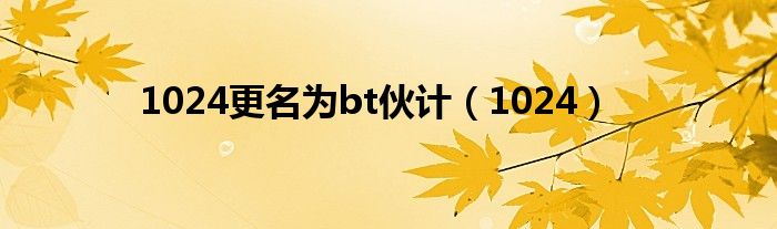 1024更名為bt伙計(jì)（1024）