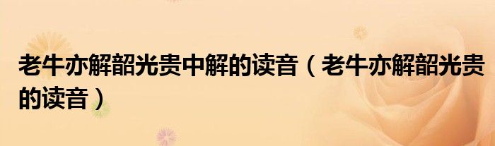 老牛亦解韶光貴中解的讀音（老牛亦解韶光貴的讀音）