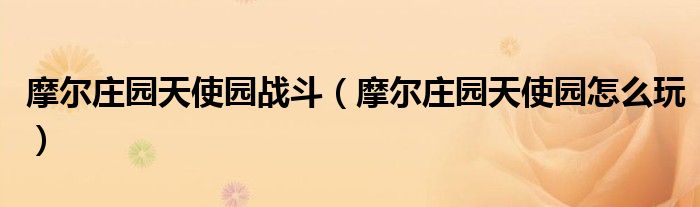 摩爾莊園天使園戰(zhàn)斗（摩爾莊園天使園怎么玩）