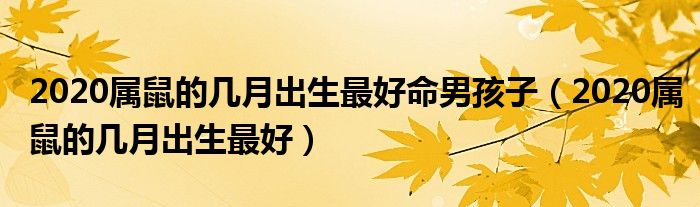 2020屬鼠的幾月出生最好命男孩子（2020屬鼠的幾月出生最好）