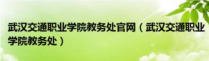 武漢交通職業(yè)學(xué)院教務(wù)處官網(wǎng)（武漢交通職業(yè)學(xué)院教務(wù)處）