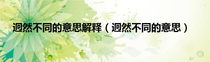 迥然不同的意思解釋（迥然不同的意思）