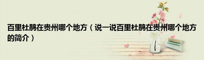 百里杜鵑在貴州哪個地方（說一說百里杜鵑在貴州哪個地方的簡介）