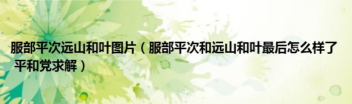 服部平次遠山和葉圖片（服部平次和遠山和葉最后怎么樣了  平和黨求解）