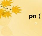 pn（說一說pn的簡介）