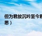 但為君故沉吟至今君指的是誰（但為君故沉吟至今是什么意思）